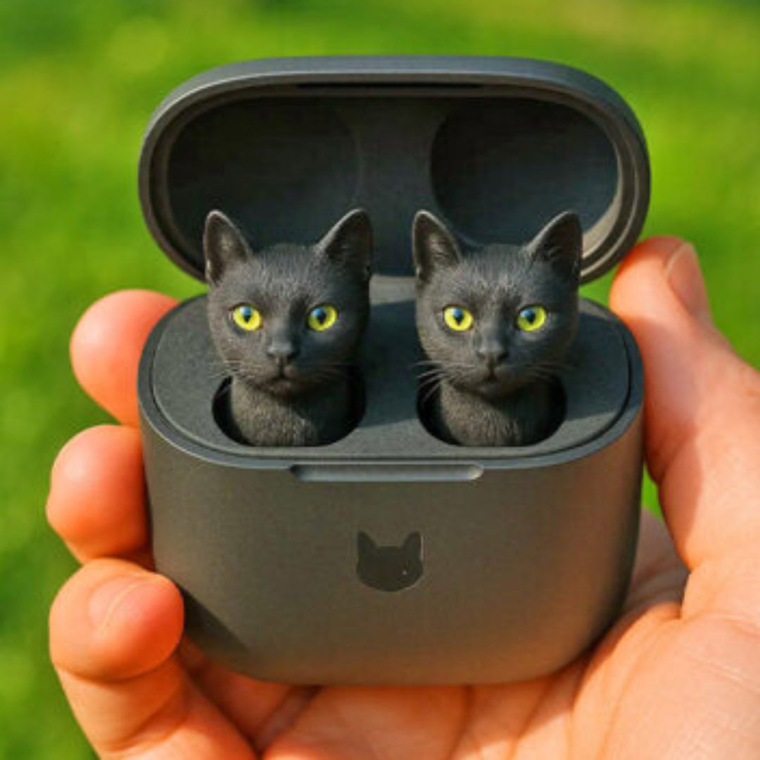Kitten Beats